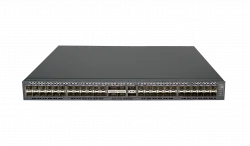 RVi-2NSM48X-2H4Q Коммутатор