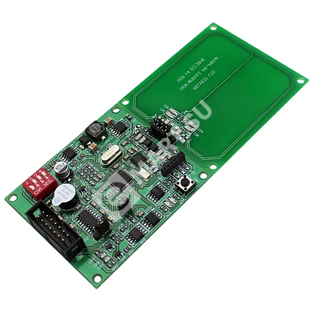 2-removebg-preview (10)