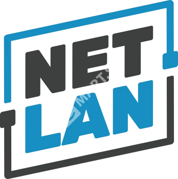 NETLAN EC-WA-125440-W-G-GY Настенный шкаф 19"